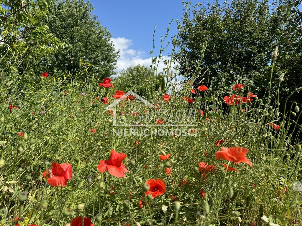 Działka rolna 1584&nbsp;m², Lubczyna - zdjęcie 3