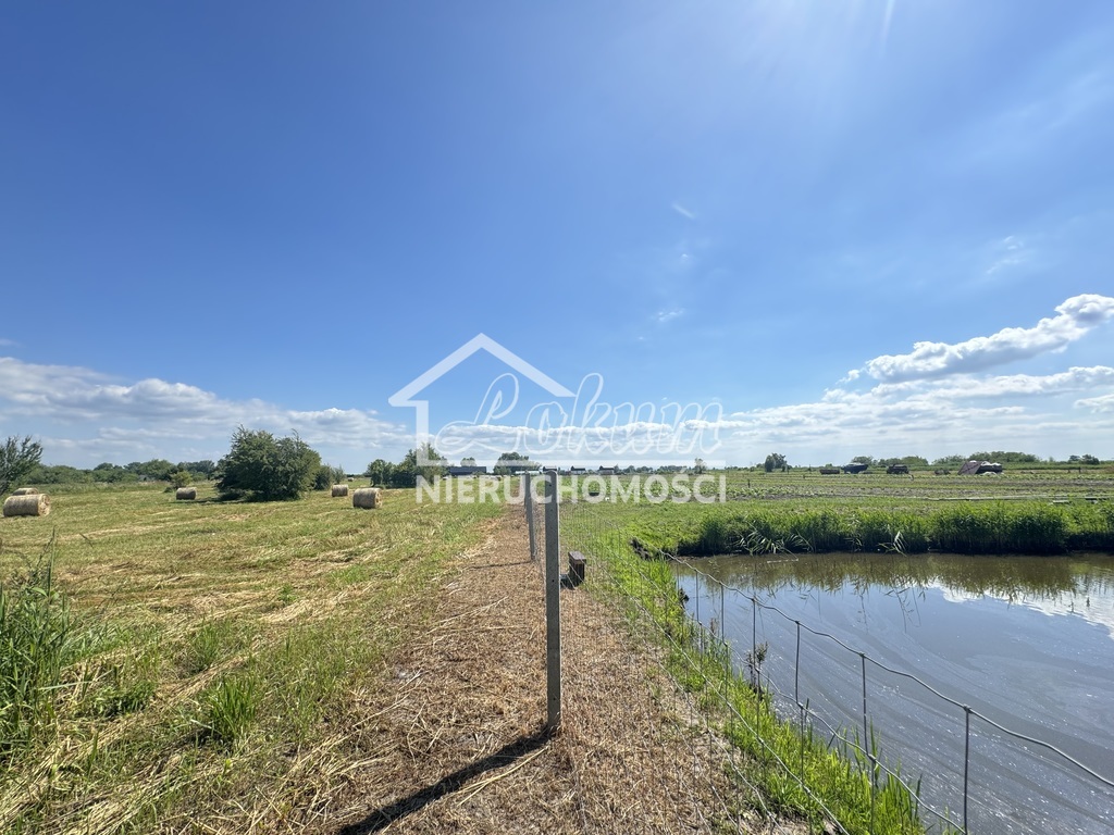 Działka rolna 1584 m², Lubczyna - zdjęcie 4