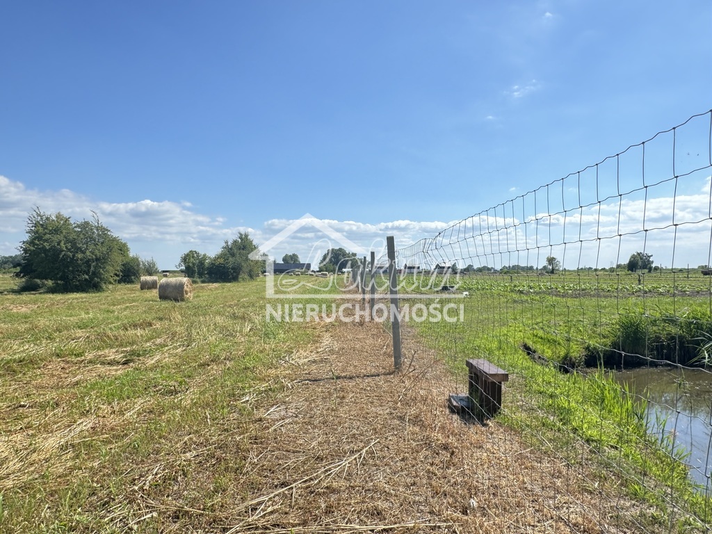 Działka rolna 1584 m², Lubczyna - zdjęcie 5