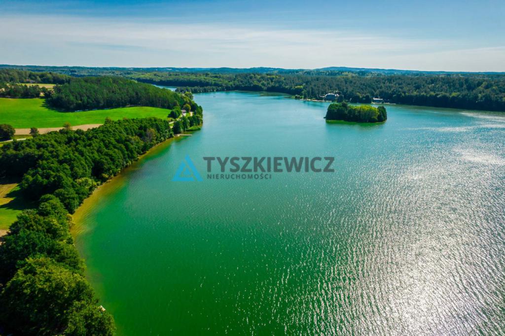 Dom z potencjałem w Borucinie z pięknym widokiem! - zdjęcie 2