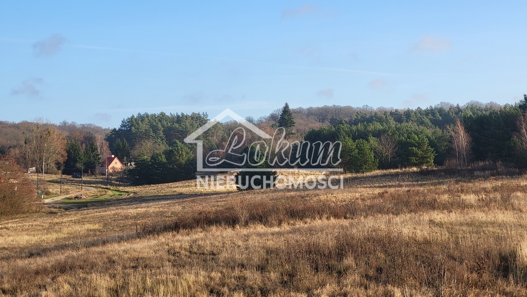 Działka rolna 2,12&nbsp;ha, Szczecin, Pastelowa - zdjęcie 5