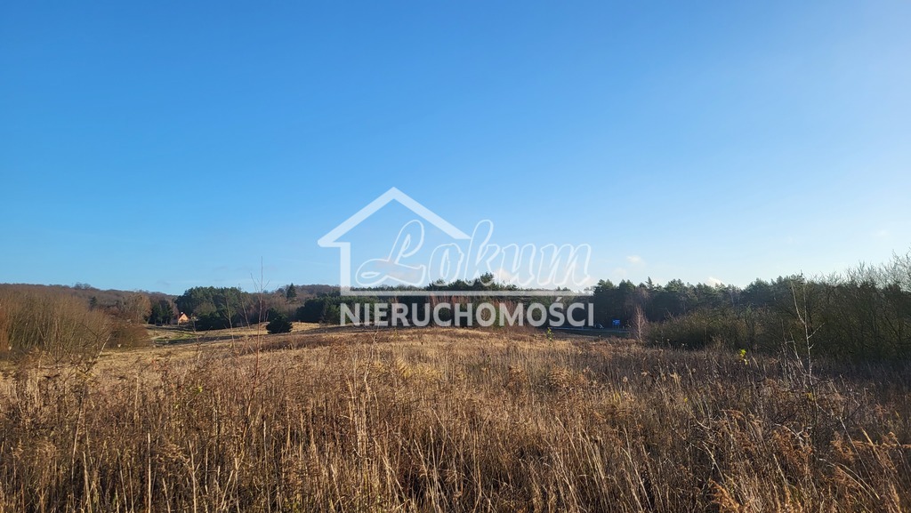 Działka rolna 2,12&nbsp;ha, Szczecin, Pastelowa - zdjęcie 3