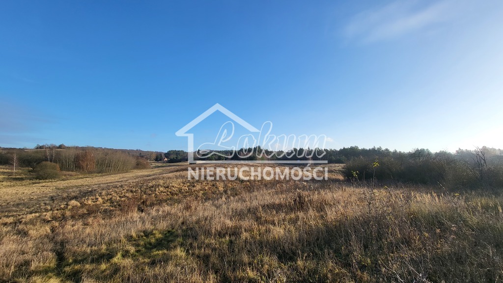 Działka rolna 2,12&nbsp;ha, Szczecin, Pastelowa - zdjęcie 4