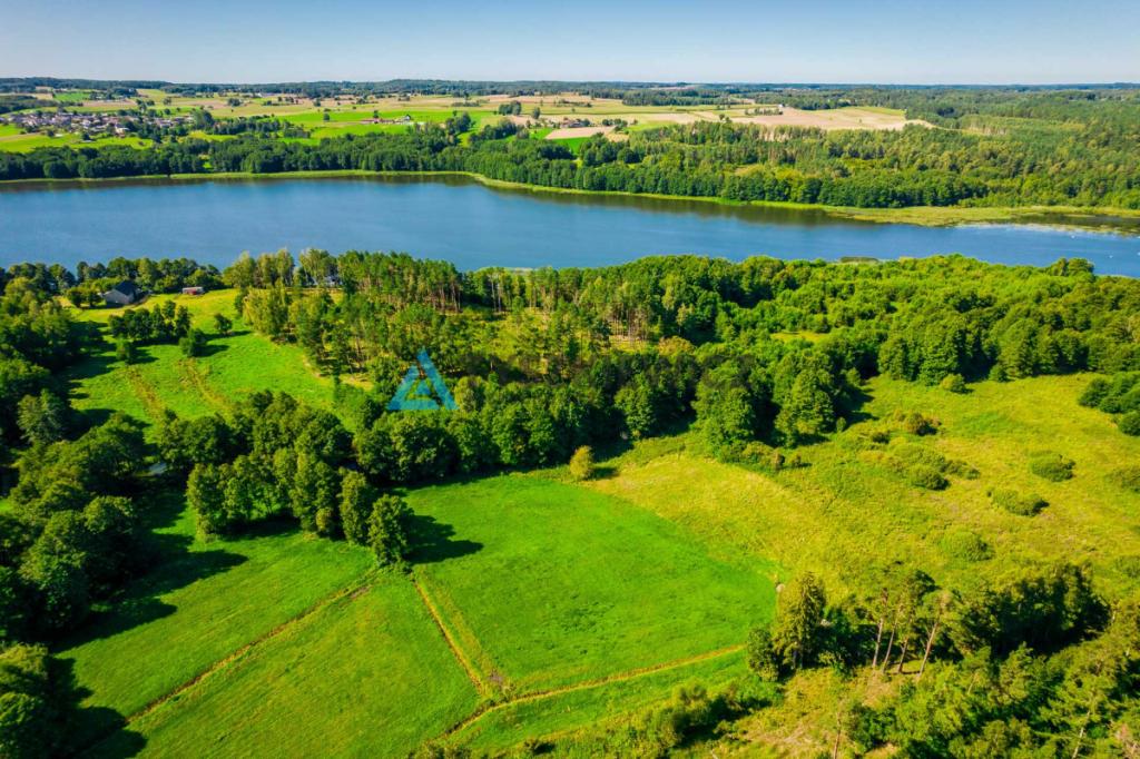 Działka z linią brzegową rzeki Słupia - zdjęcie 4