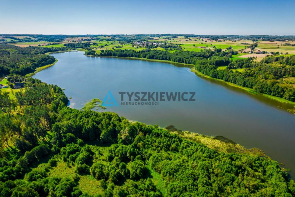 Działka z linią brzegową rzeki Słupia - zdjęcie 7