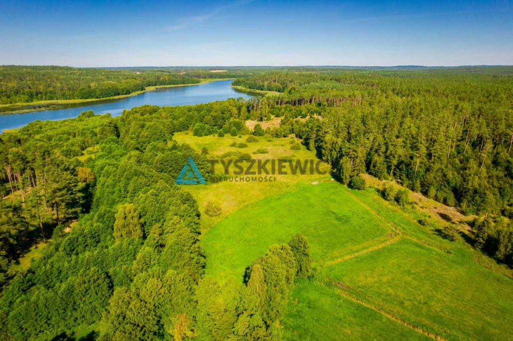 Działka z linią brzegową rzeki Słupia - zdjęcie 2
