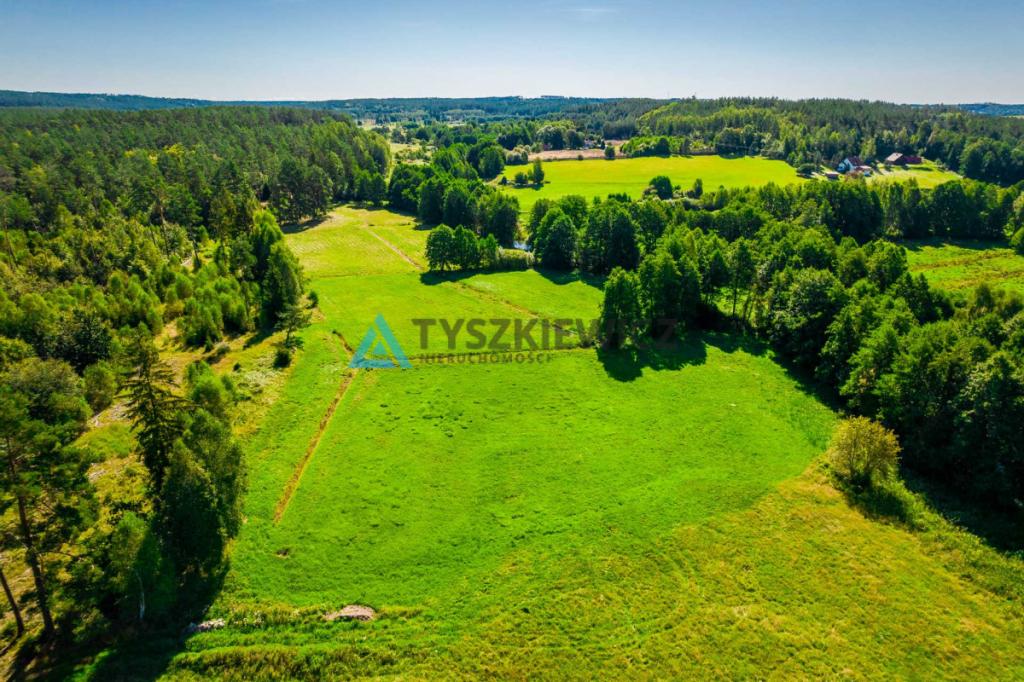 Działka z linią brzegową rzeki Słupia - zdjęcie 9
