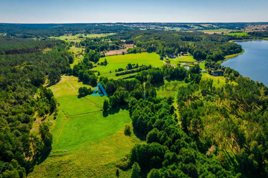 Działka z linią brzegową rzeki Słupia - zdjęcie 8