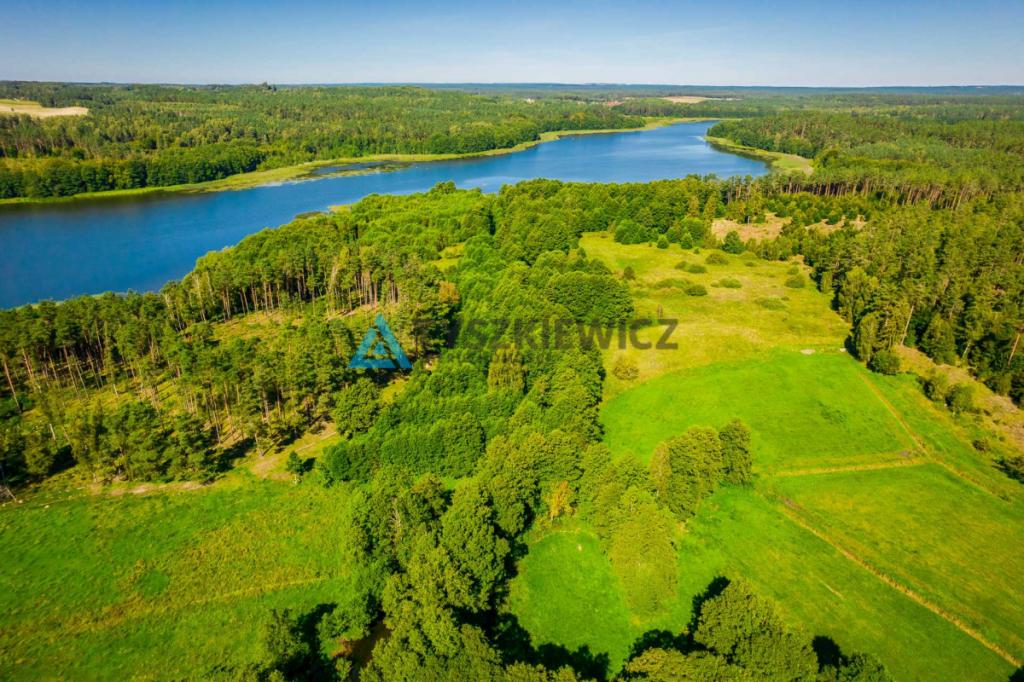 Działka z linią brzegową rzeki Słupia - zdjęcie 14