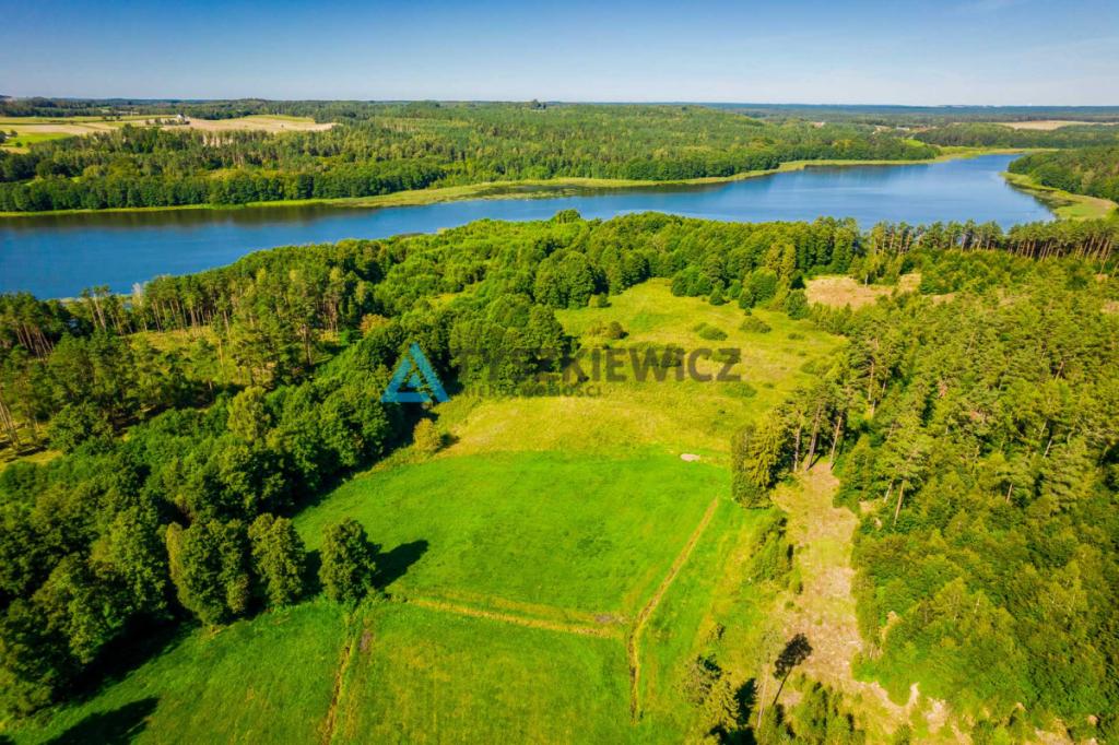 Działka z linią brzegową rzeki Słupia - zdjęcie 3