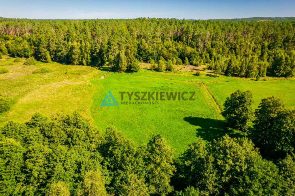 Działka z linią brzegową rzeki Słupia - zdjęcie 10