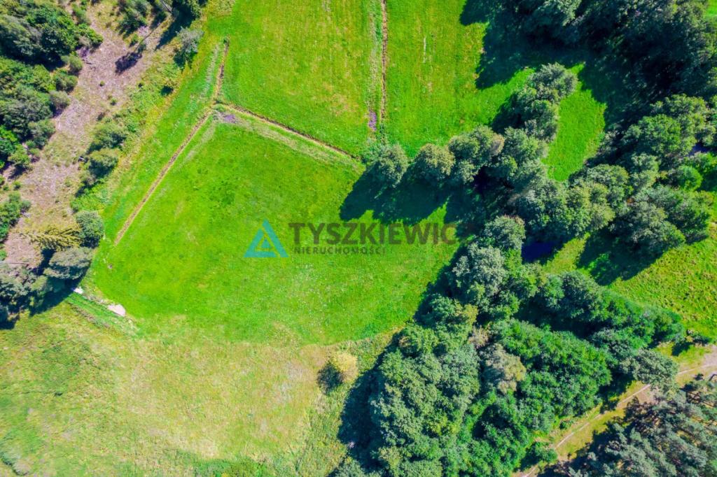 Działka z linią brzegową rzeki Słupia - zdjęcie 13