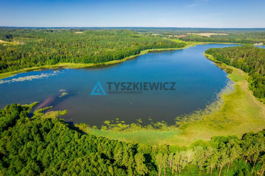 Działka z linią brzegową rzeki Słupia - zdjęcie 6