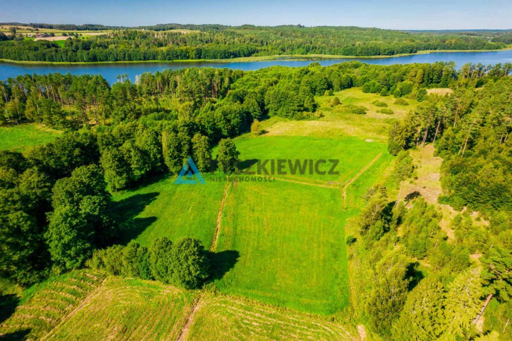 Działka z linią brzegową rzeki Słupia - zdjęcie 12