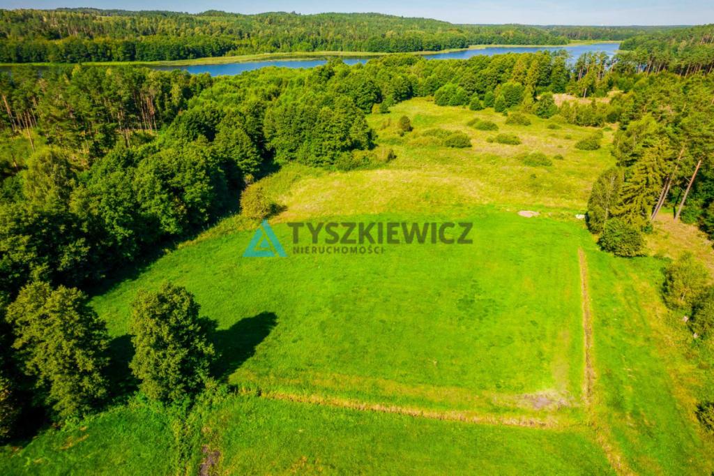 Działka z linią brzegową rzeki Słupia - zdjęcie 11