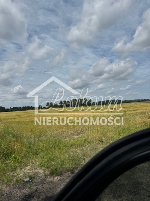 Działka rolna 25,29&nbsp;ha, Dobropole - zdjęcie 2