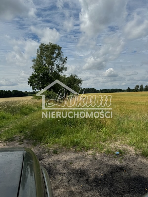 Działka rolna 25,29&nbsp;ha, Dobropole - zdjęcie 1