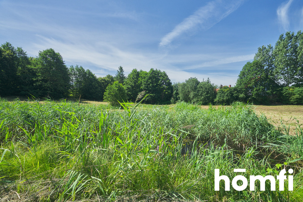 Działka rolna 1,30 ha, Dorotowo - zdjęcie 14