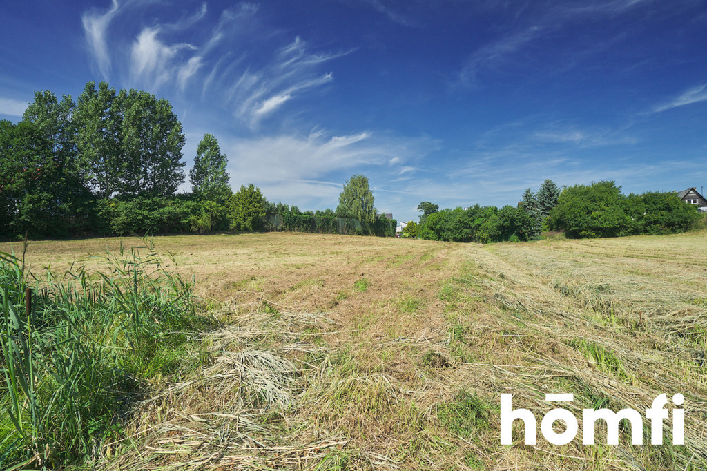 Działka rolna 1,30 ha, Dorotowo - zdjęcie 17