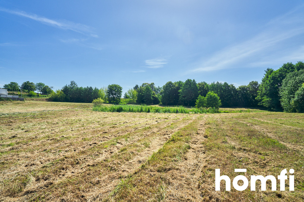Działka rolna 1,30 ha, Dorotowo - zdjęcie 13