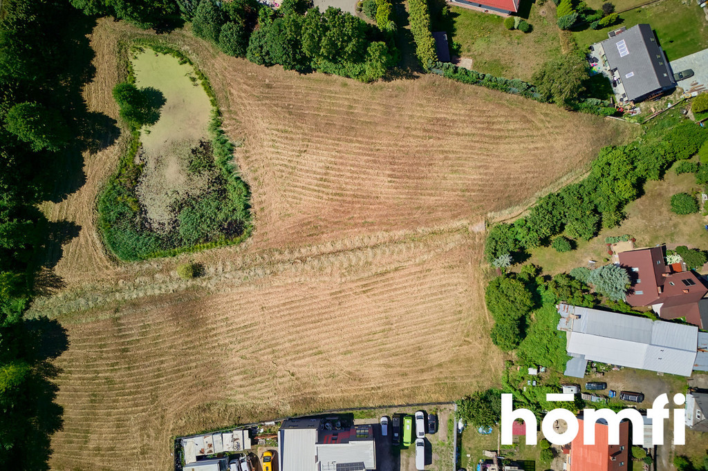Działka rolna 1,30 ha, Dorotowo - zdjęcie 3