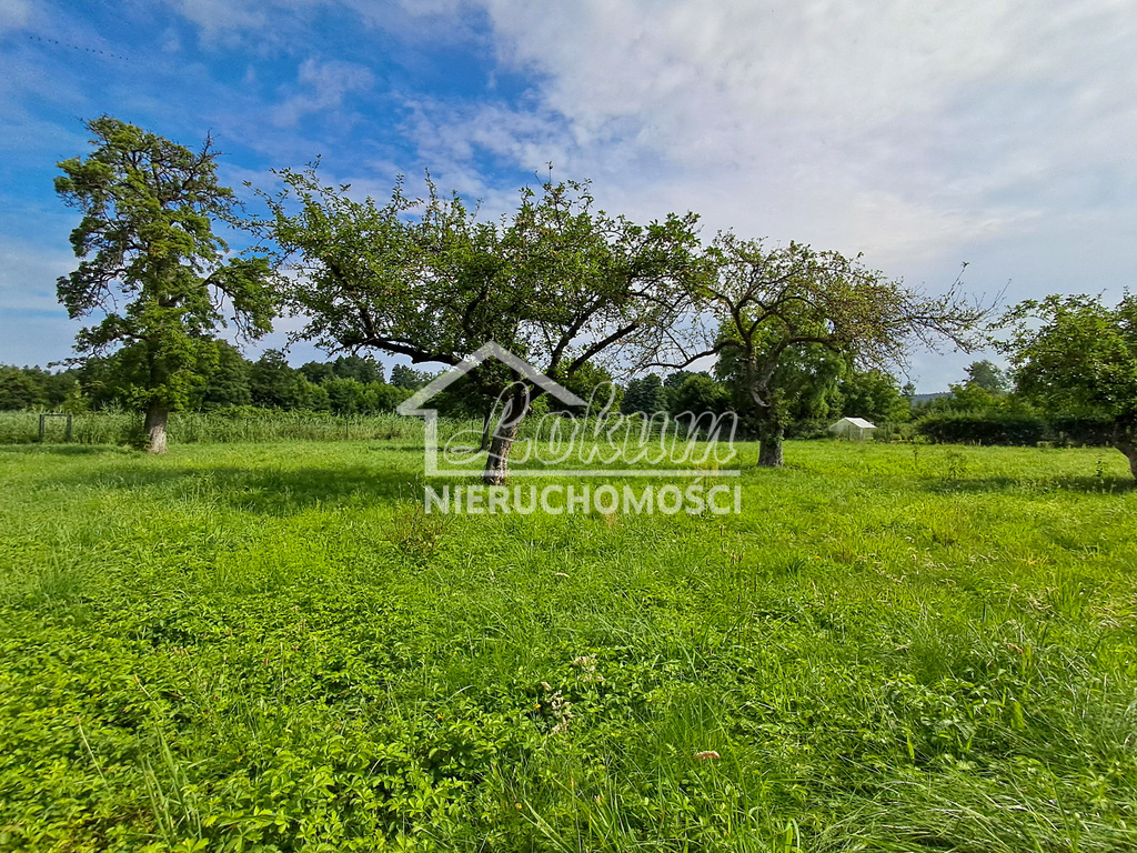 Działka budowlana 2223&nbsp;m², Wapnica - zdjęcie 8