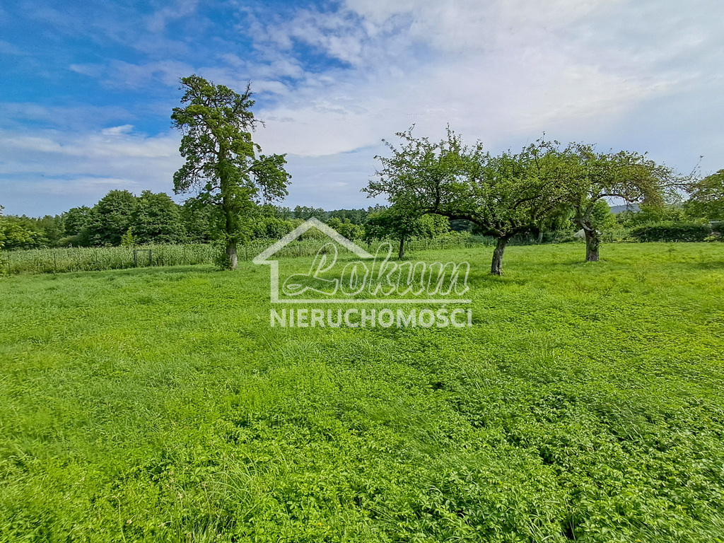 Działka budowlana 2223&nbsp;m², Wapnica - zdjęcie 6