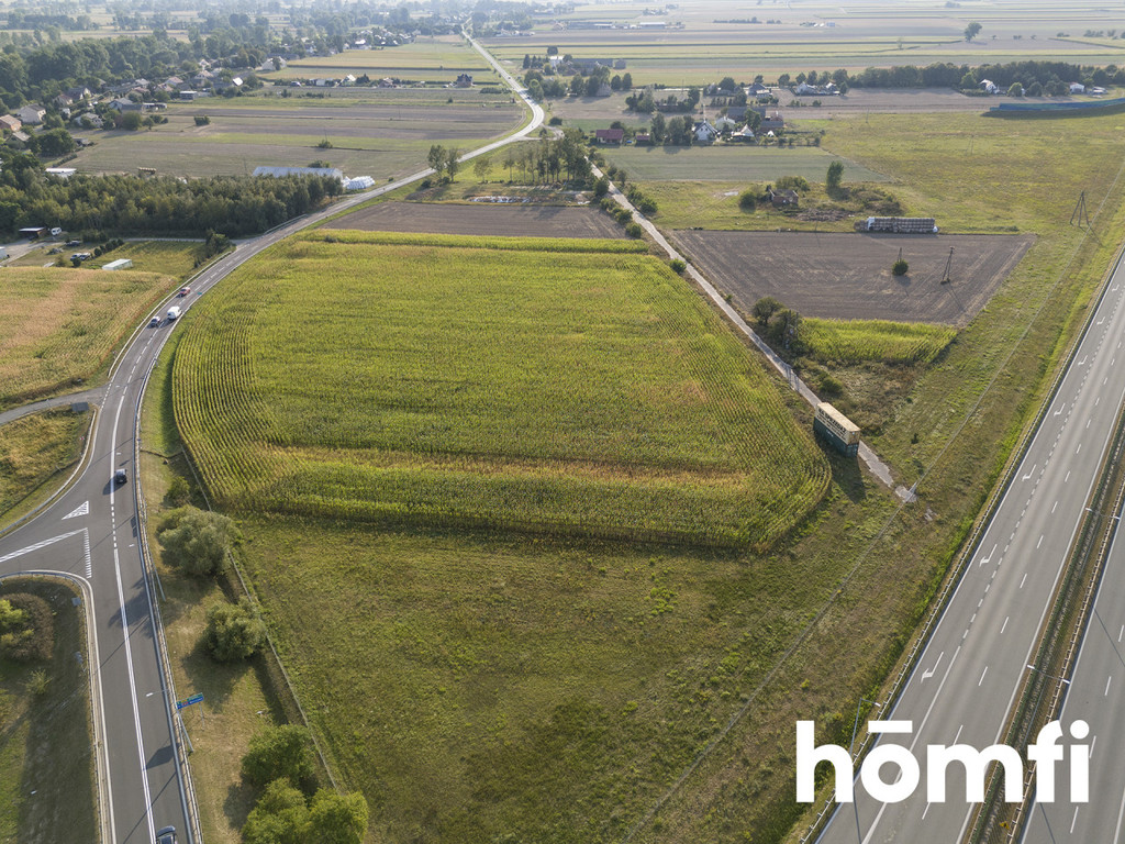 Działka inwestycyjna 2,95 ha, Sługocin - zdjęcie 7