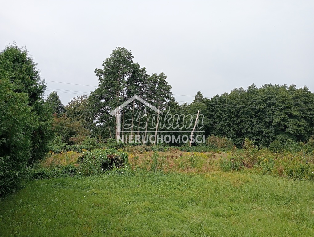 Działka budowlana 2847&nbsp;m², Chojna, Słowackiego - zdjęcie 4