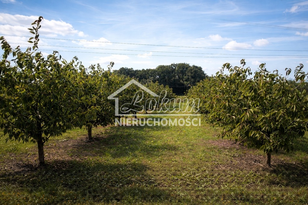 Działka rolna 1,09&nbsp;ha, Banie - zdjęcie 5