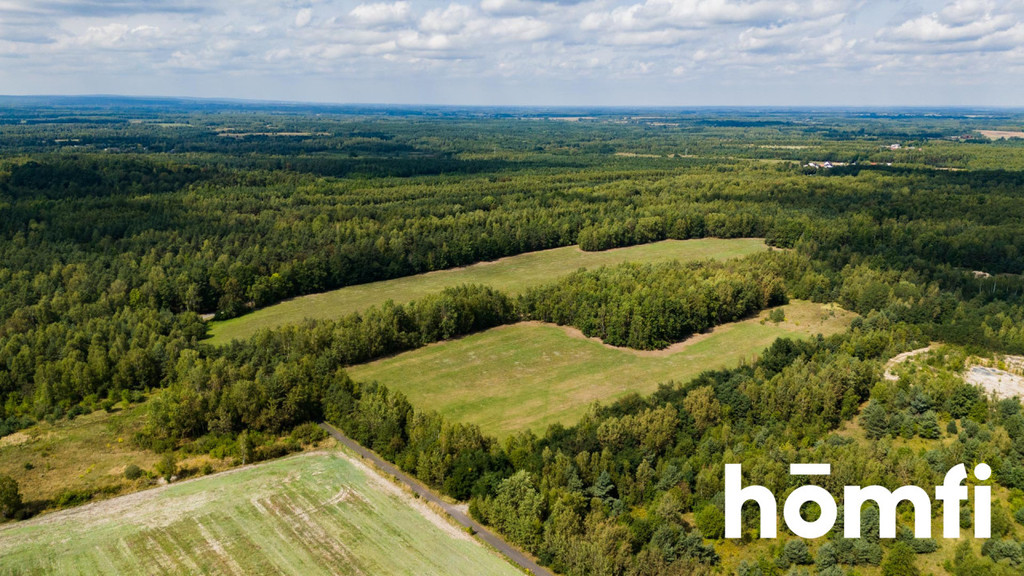 Działka inwestycyjna 8,36&nbsp;ha, Jankowice - zdjęcie 4