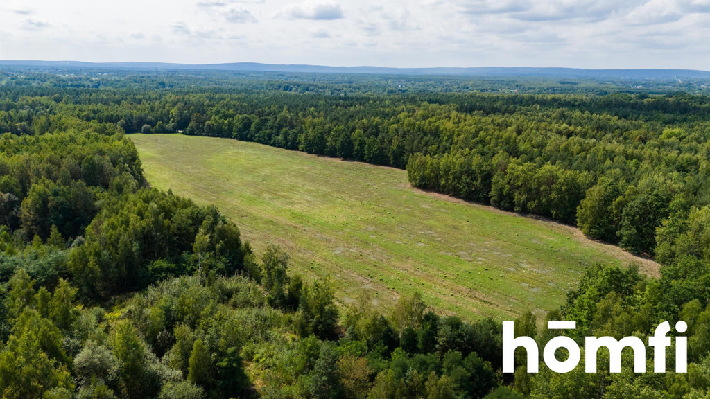 Działka inwestycyjna 8,36&nbsp;ha, Jankowice - zdjęcie 15