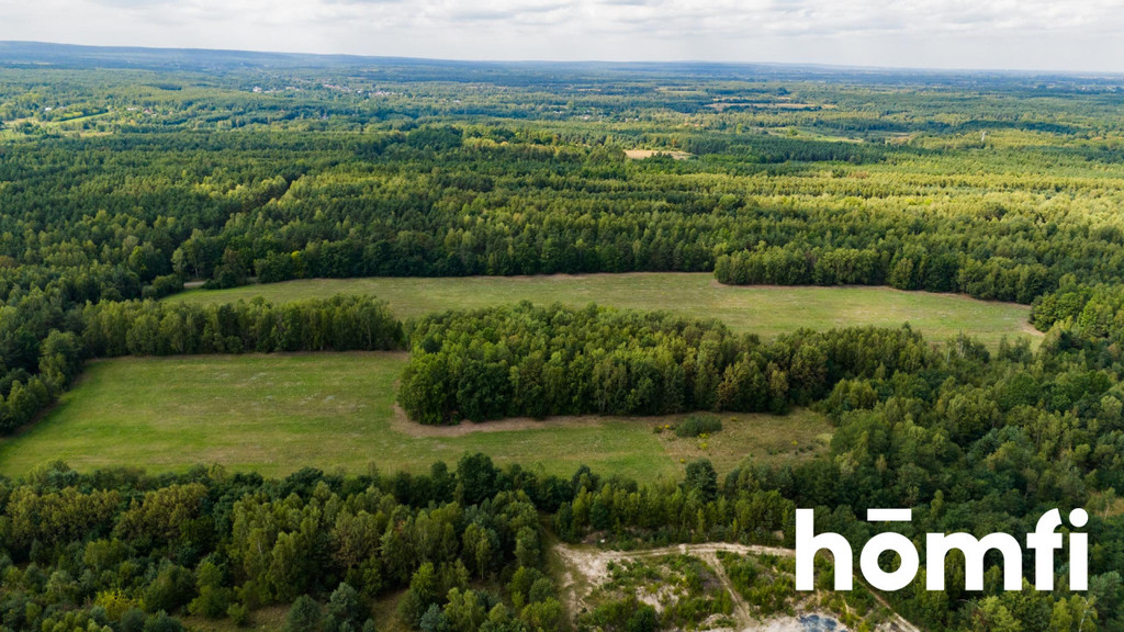 Działka inwestycyjna 8,36&nbsp;ha, Jankowice - zdjęcie 10
