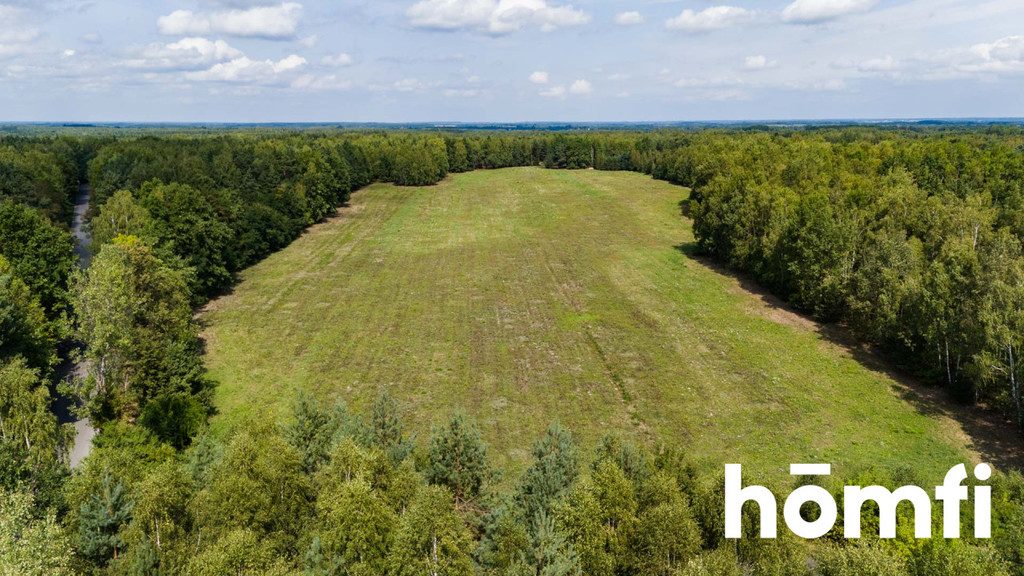 Działka inwestycyjna 8,36&nbsp;ha, Jankowice - zdjęcie 6