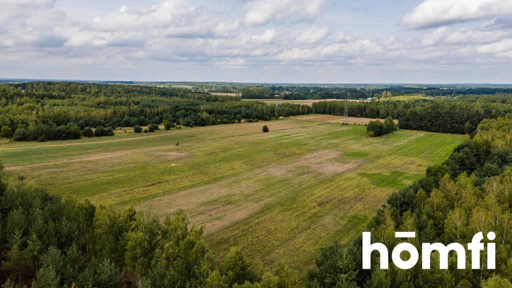 Działka rolna 4,56 ha, Zdziechów - zdjęcie 7