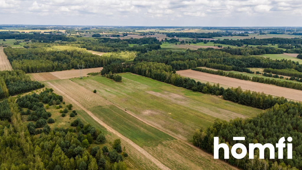 Działka rolna 4,56 ha, Zdziechów - zdjęcie 12