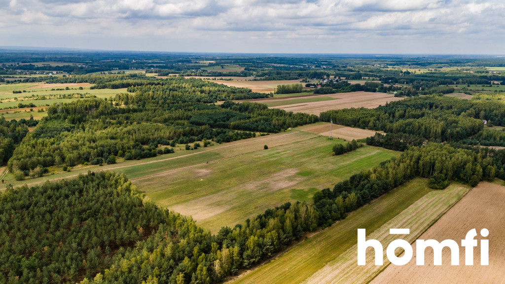 Działka rolna 4,56 ha, Zdziechów - zdjęcie 3