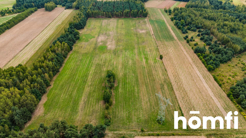 Działka rolna 4,56 ha, Zdziechów - zdjęcie 14