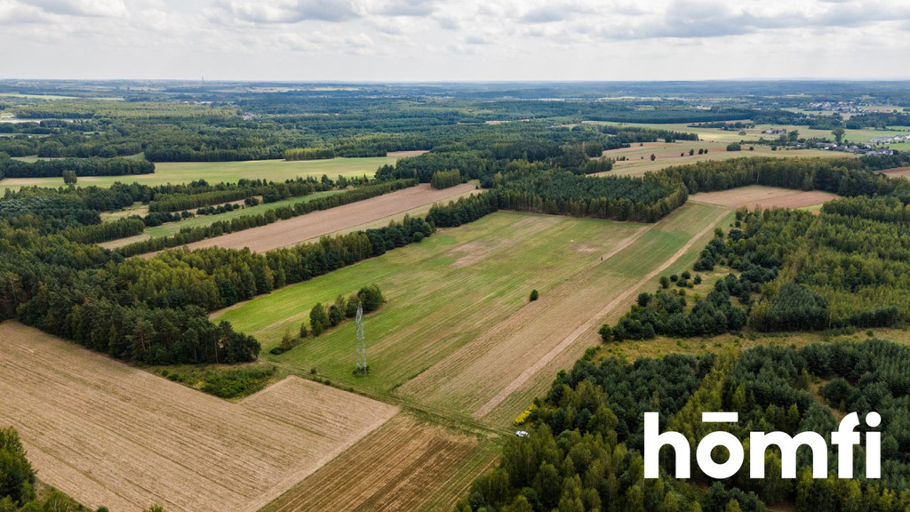 Działka rolna 4,56 ha, Zdziechów - zdjęcie 2
