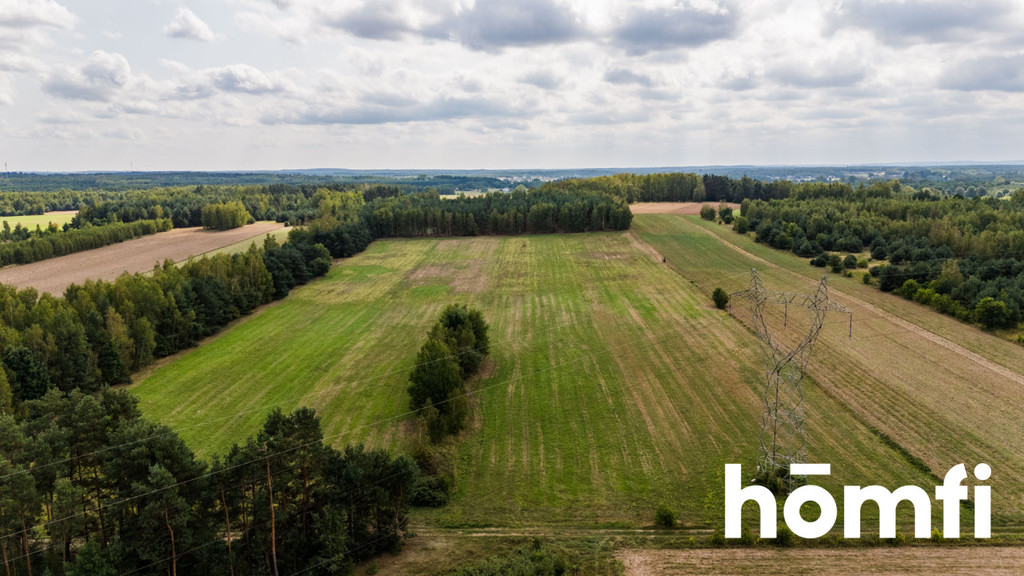 Działka rolna 4,56 ha, Zdziechów - zdjęcie 4