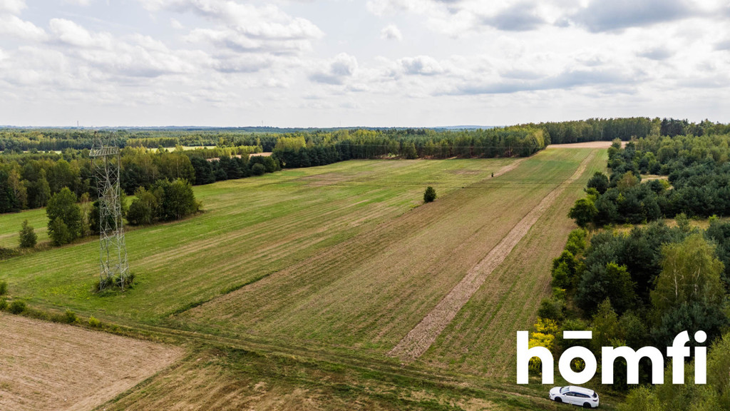 Działka rolna 4,56 ha, Zdziechów - zdjęcie 19