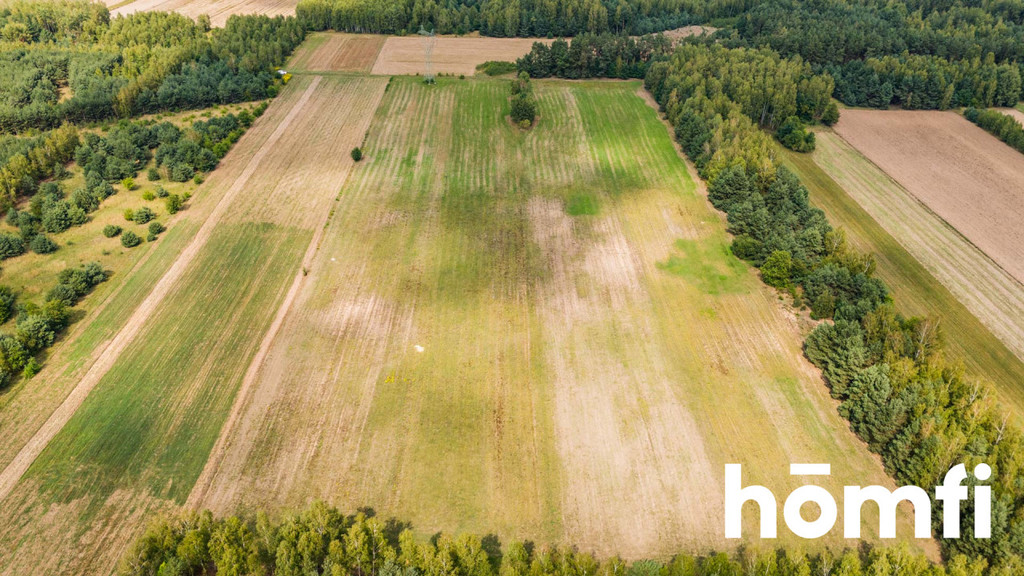 Działka rolna 4,56 ha, Zdziechów - zdjęcie 9