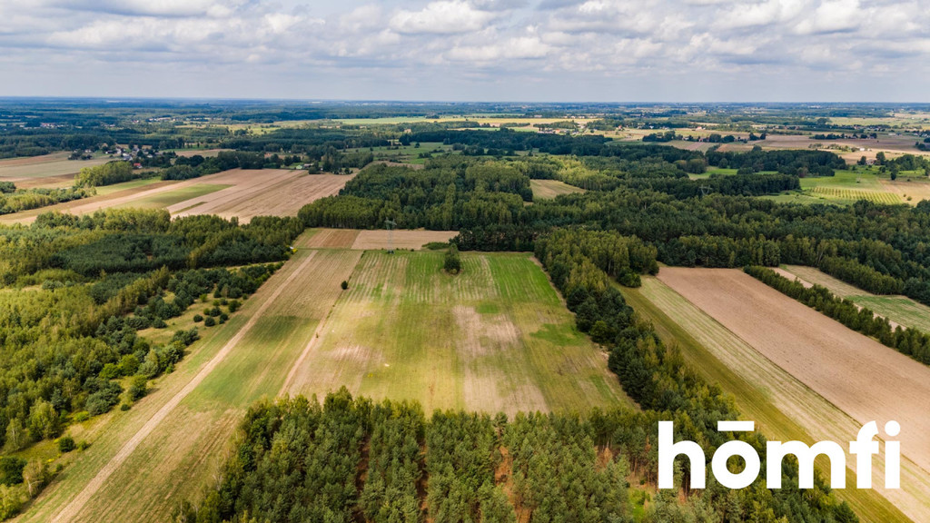 Działka rolna 4,56 ha, Zdziechów - zdjęcie 16