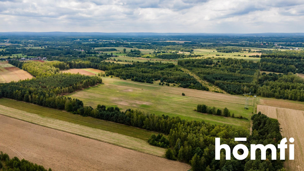 Działka rolna 4,56 ha, Zdziechów - zdjęcie 15
