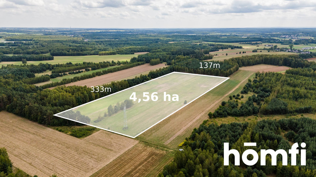 Działka rolna 4,56 ha, Zdziechów - zdjęcie 1
