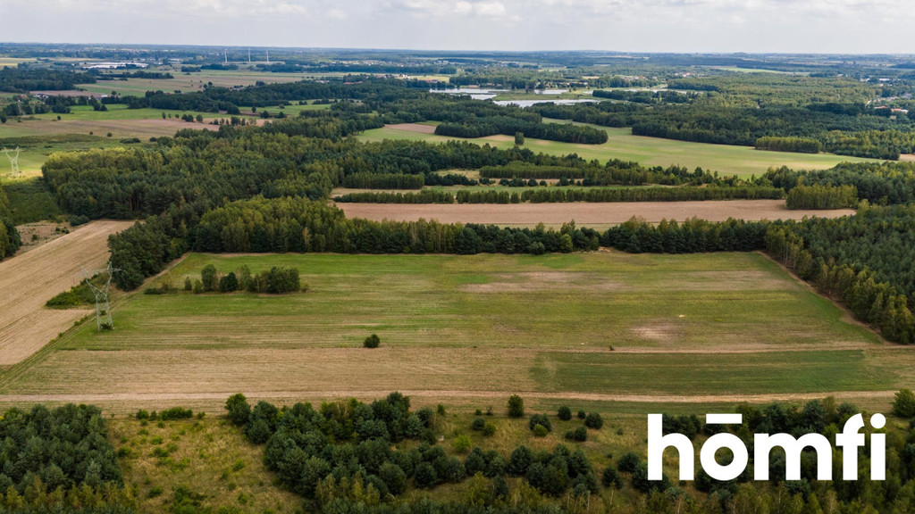 Działka rolna 4,56 ha, Zdziechów - zdjęcie 13