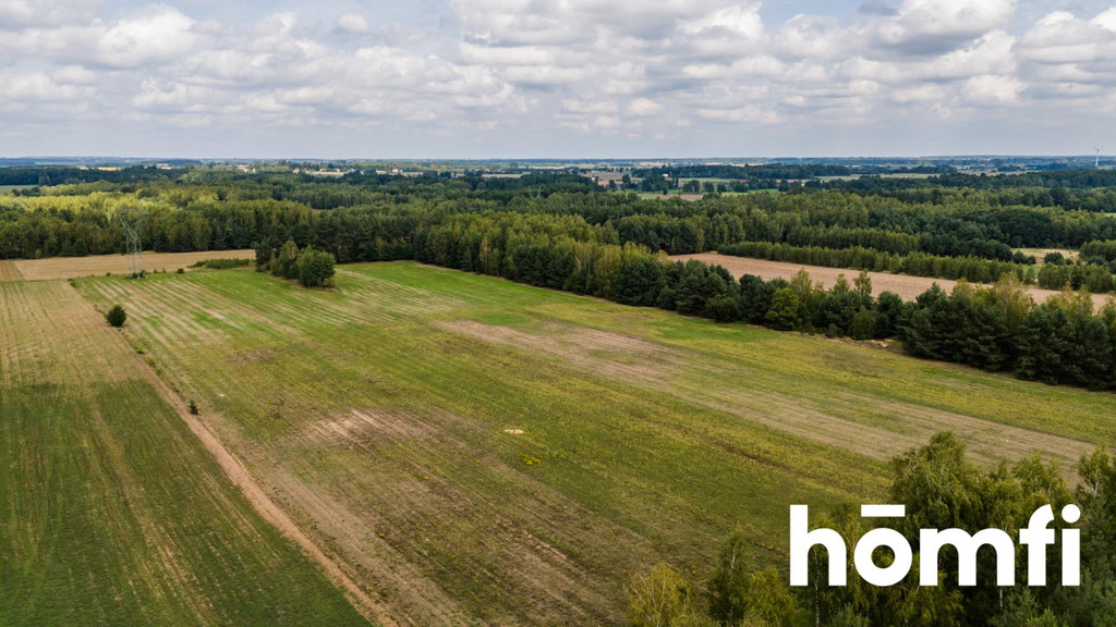 Działka rolna 4,56 ha, Zdziechów - zdjęcie 10