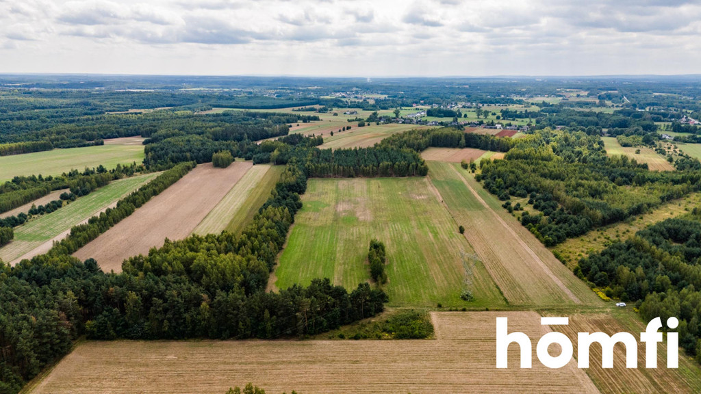Działka rolna 4,56 ha, Zdziechów - zdjęcie 6