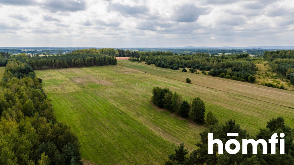 Działka rolna 4,56 ha, Zdziechów - zdjęcie 5