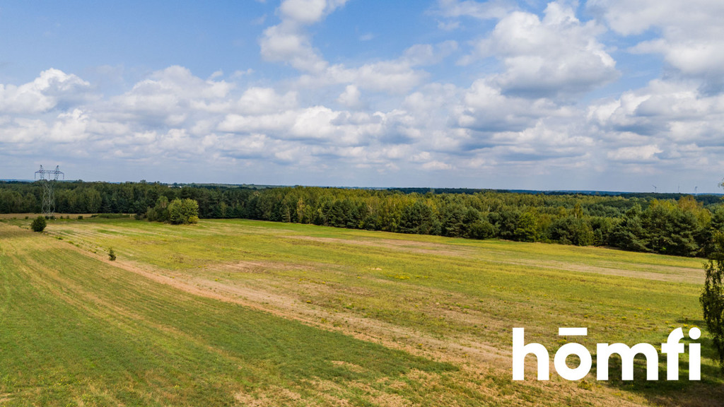 Działka rolna 4,56 ha, Zdziechów - zdjęcie 18
